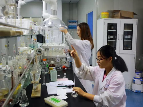 服务创新企业 助力科技腾飞 精武镇信息技术咨询服务企业成功获批天津市企业重点实验室