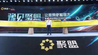 聚盟科技与聚思鸿信息技术是否为同一单位