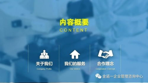 企业人员管理项目咨询与信息技术咨询服务 金诺一企业管理咨询中心介绍